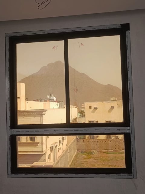 Four-panel window overlooking building and palm tree